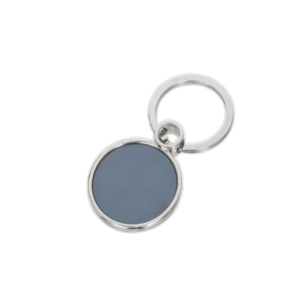 Buy Pale Grey Round Metal Key Chain – Perfect for Corporate Gifting