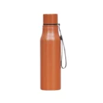 Eco-Friendly Stainless Steel Water Bottle – Compact and Durable (500ML)